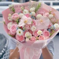 ˳ʻٵ